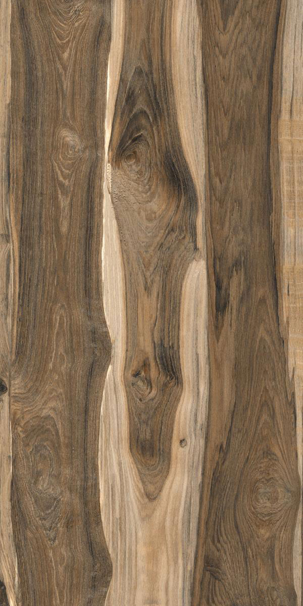 CHOCONUT WOOD F2